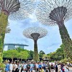 z6803742319036_76a0218031cb86dc793732af28ce620d