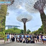 z6803742393956_6032bd90cab54a7ce08073560ac6e8d0