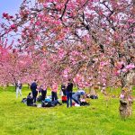 batch_z5322164833534_41bd61a394ca2c80bec7a545daefa099 (1)