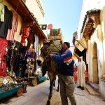 Khu-phố-cổ-Medina-ở-Fes(3)