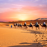 Sahara