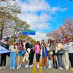 batch_z5322234029467_78e87f92b228766cc26c14f3d0595574 - Copy