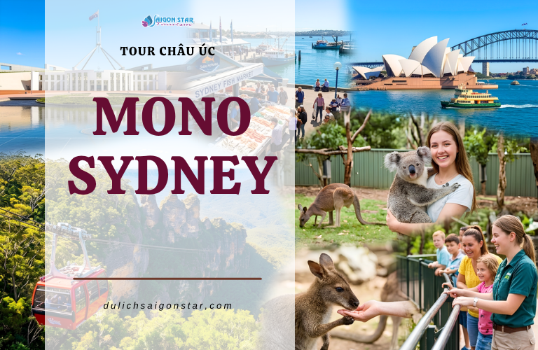 MONO SYDNEY
