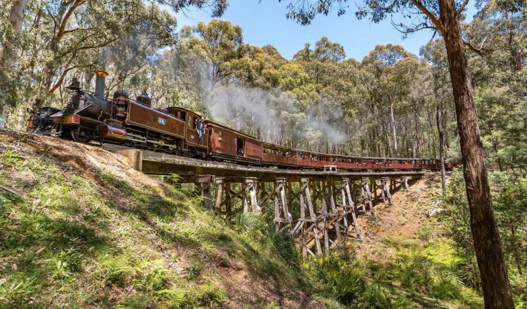 Tau-Lua-Hoi-Nuoc-Puffing-Billy