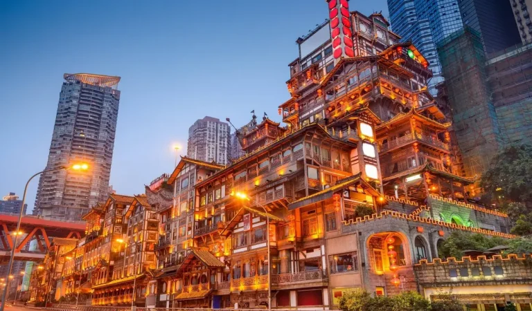 e5f2b558d1ffcd6bb52224b6c6bec421 (1)