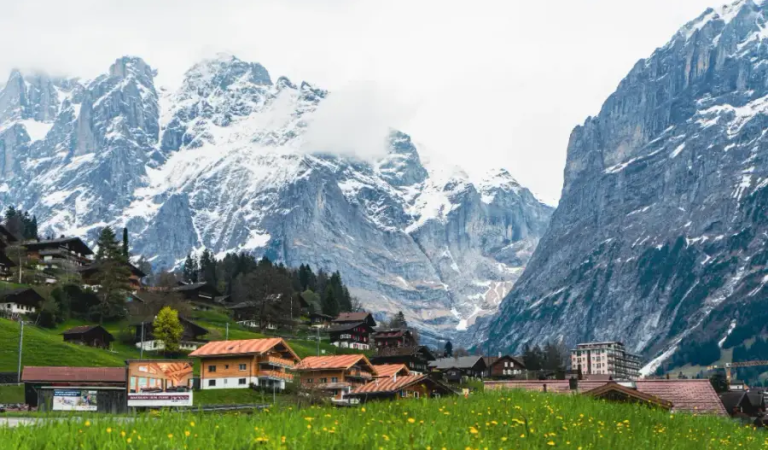 go-and-share-grindelwald-3
