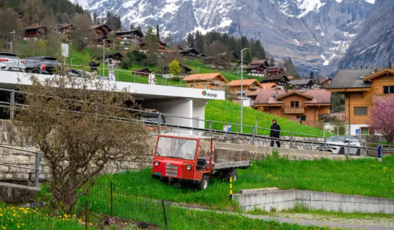 go-and-share-grindelwald-6