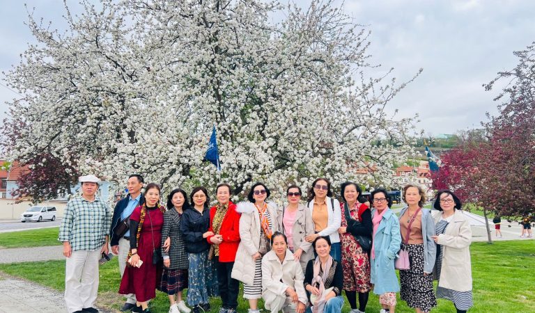 z6516035017146_0c75e728e7e4412da827da23c7d108a3